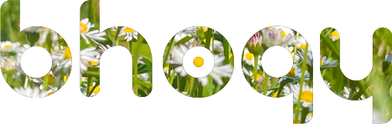 BHOGY – Musique Folk Ethérée