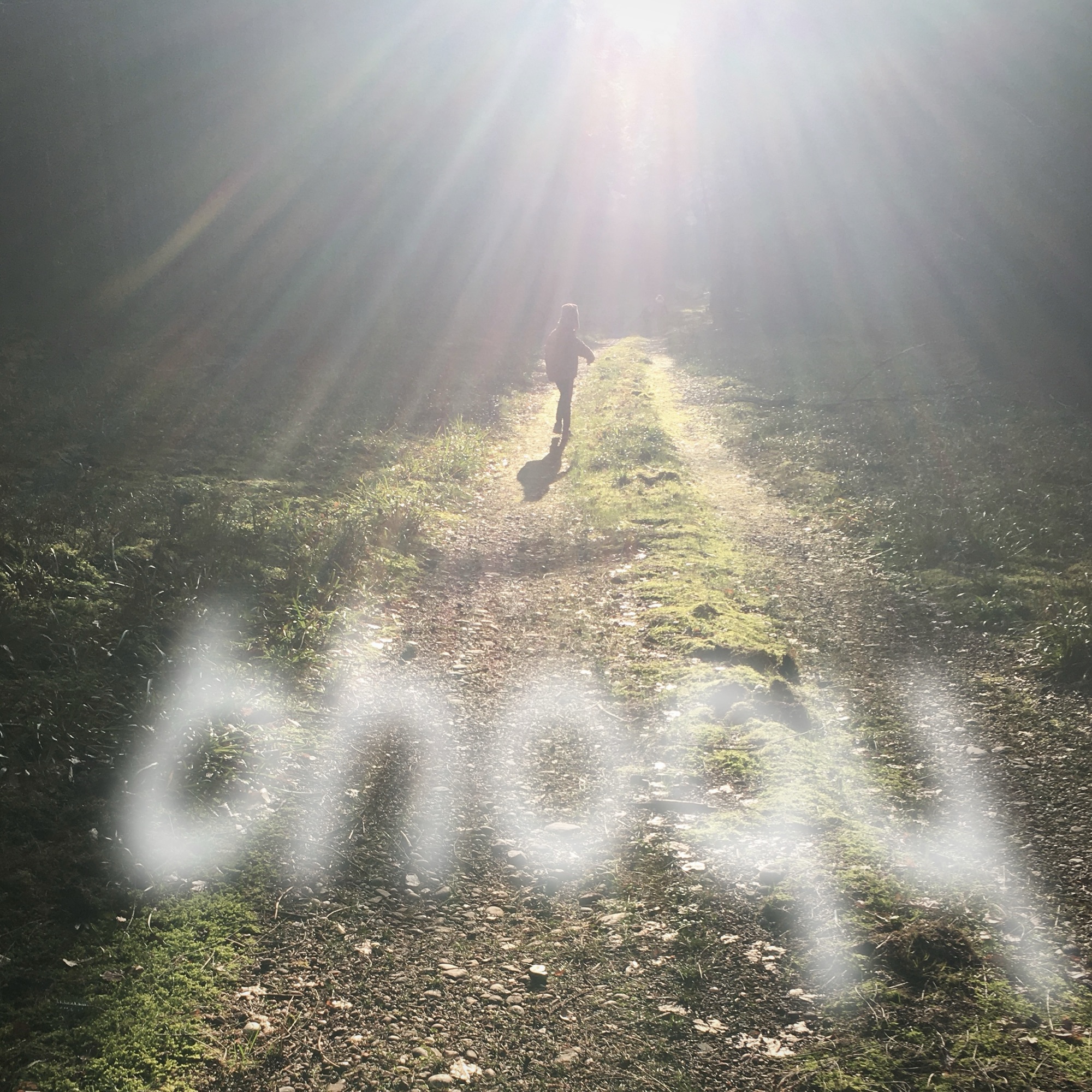 Lettre d’un fan de Bhogy